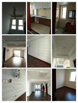 绿地·海德公馆完工图片
